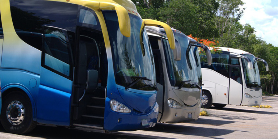 Nortempo lidera el servicio de acompañamiento en el transporte escolar de Galicia